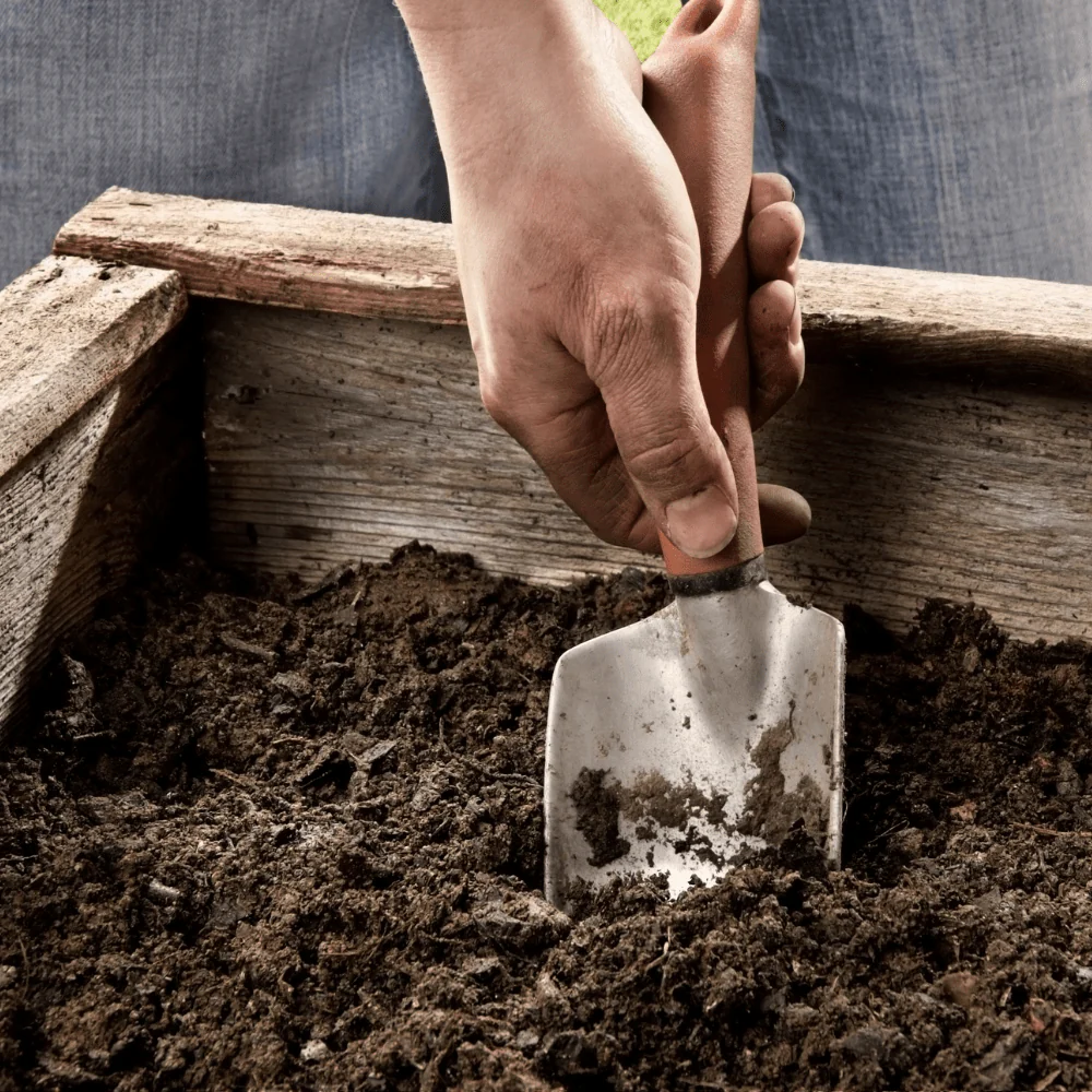 BedGrow® Raised Bed Welsh Topsoil Mix - Image 4