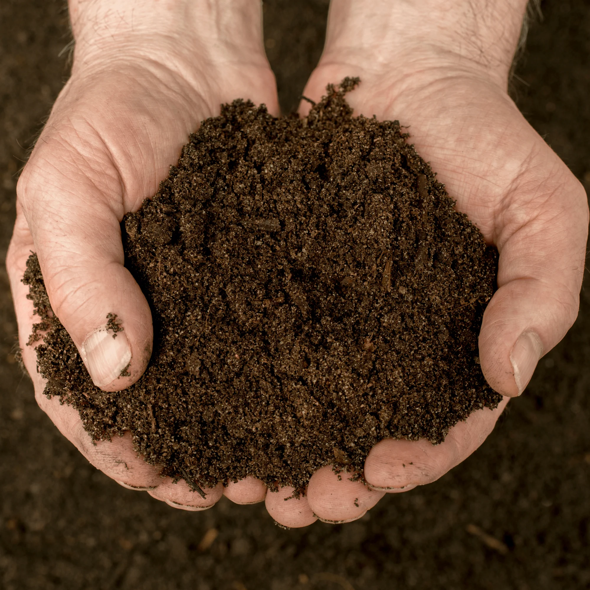 Bordermix® Welsh Topsoil for plants and flowers - Image 8