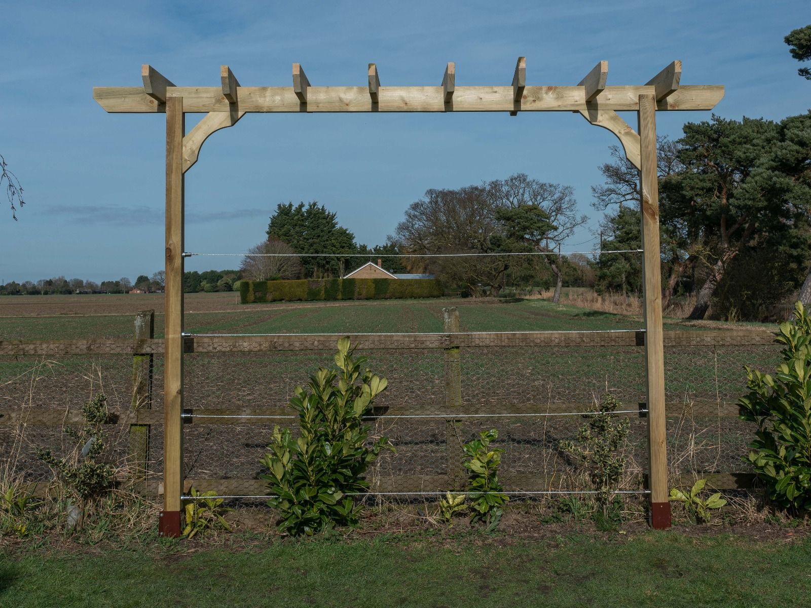 Chamfered Single Beam Pergola, Plant Climbing Arbour - Sculpted brace - Image 4