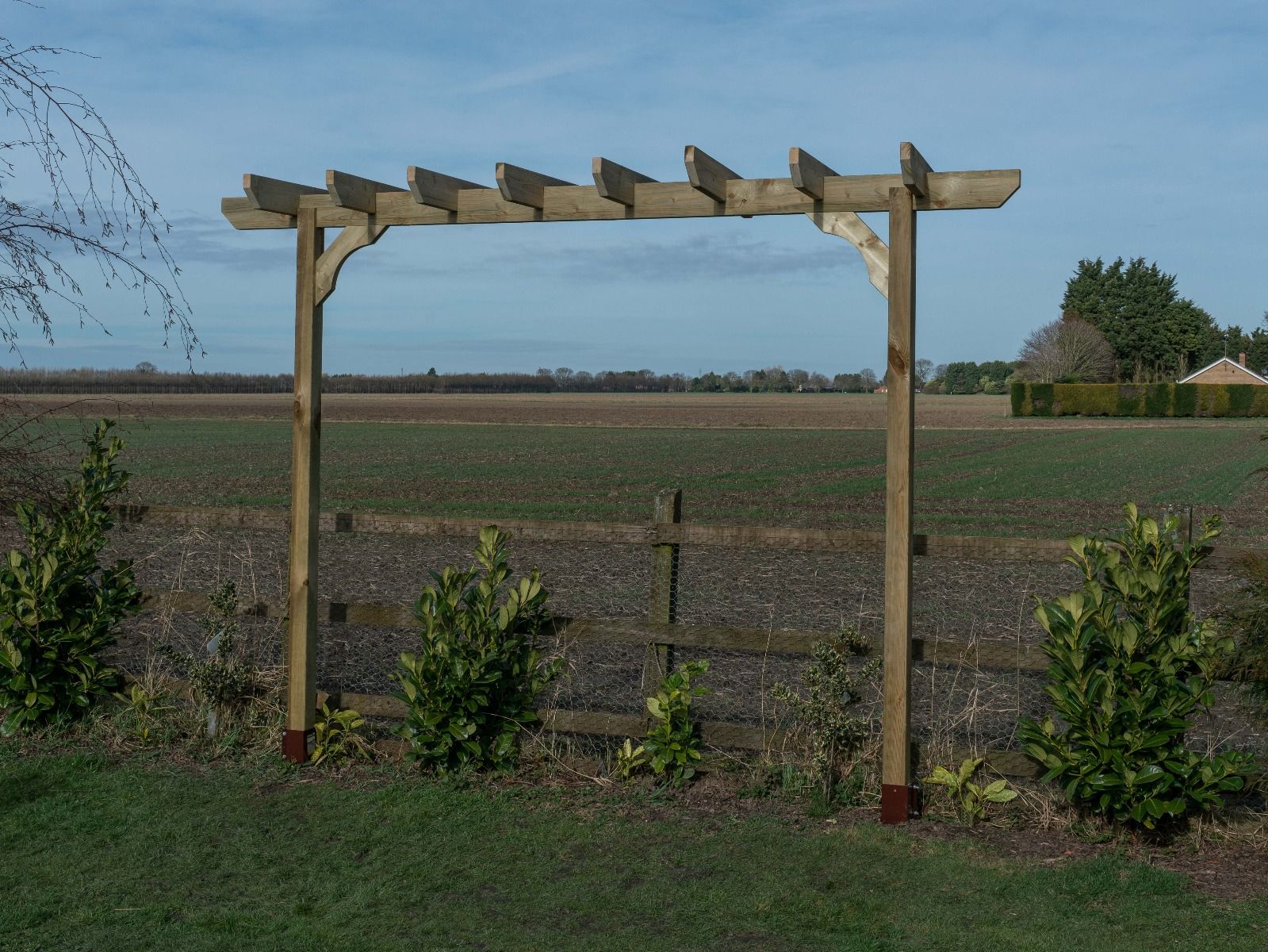 Chamfered Single Beam Pergola, Plant Climbing Arbour - Sculpted brace - Image 6