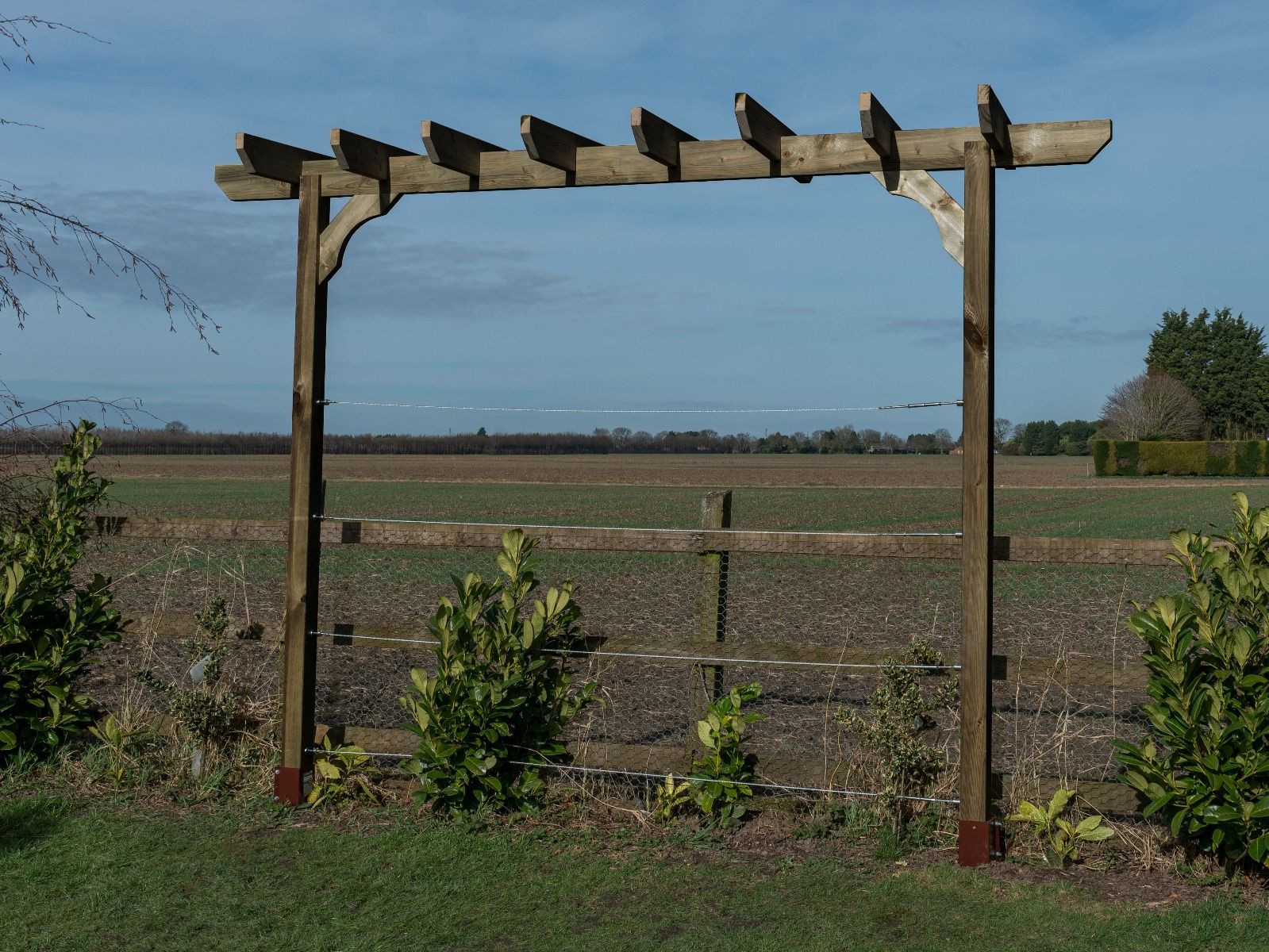 Chamfered Single Beam Pergola, Plant Climbing Arbour - Sculpted brace - Image 7