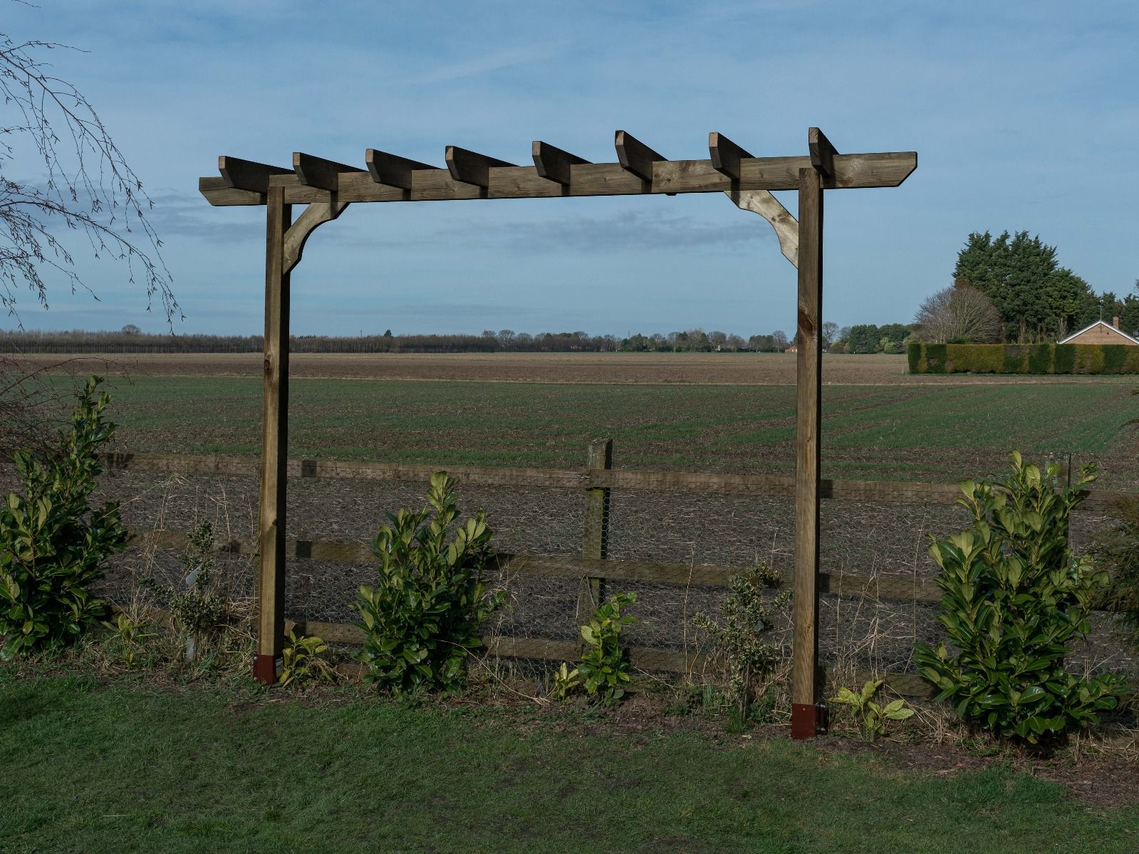 Chamfered Single Beam Pergola, Plant Climbing Arbour - Sculpted brace - Image 8