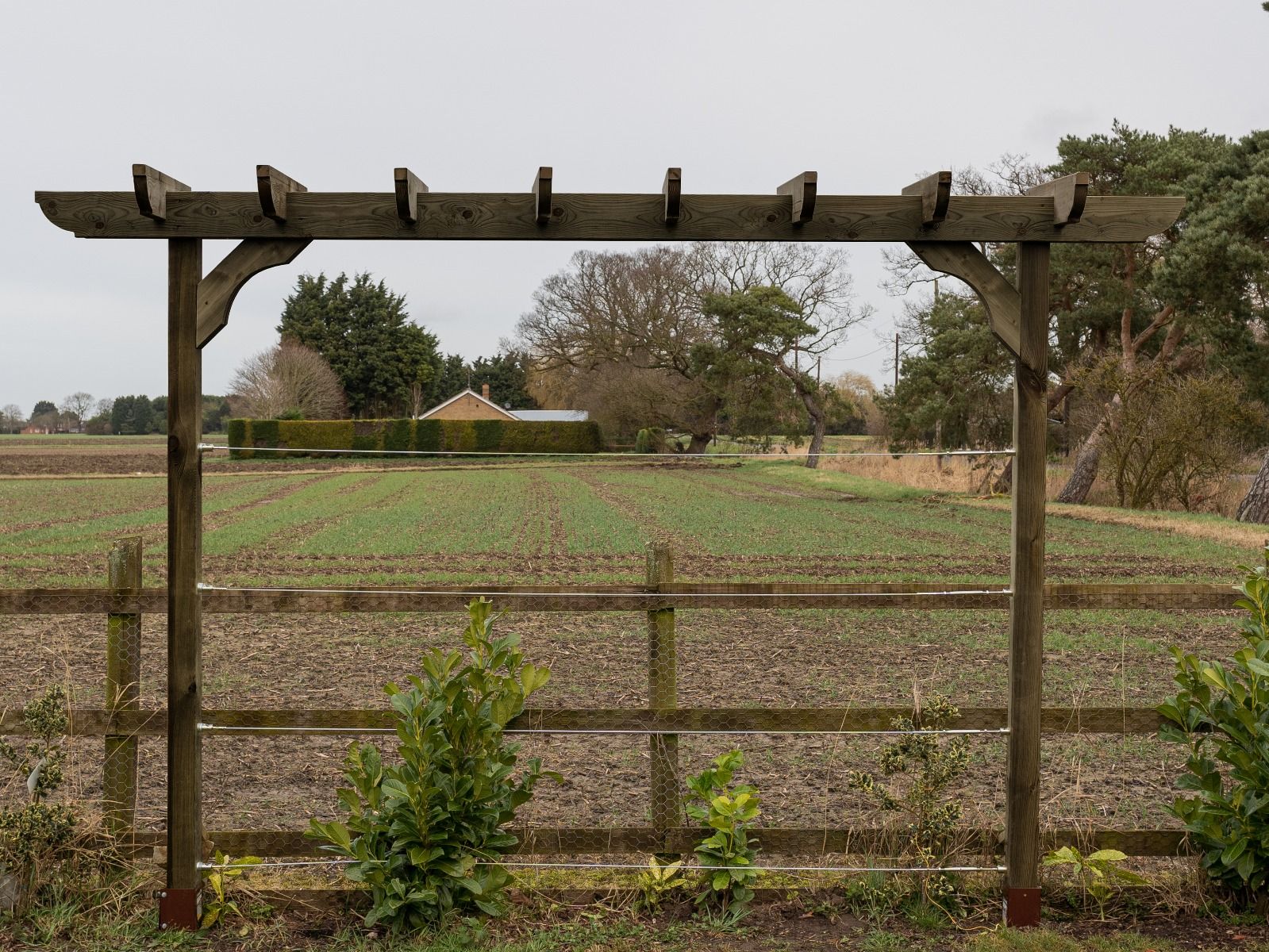 Corbel Double Beam Pergola, Plant Climbing Arbour - Sculpted brace - Image 6