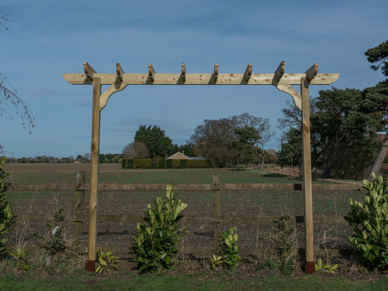 Corbel Single Beam Pergola, Plant Climbing Arbour - Sculpted brace - Image 4