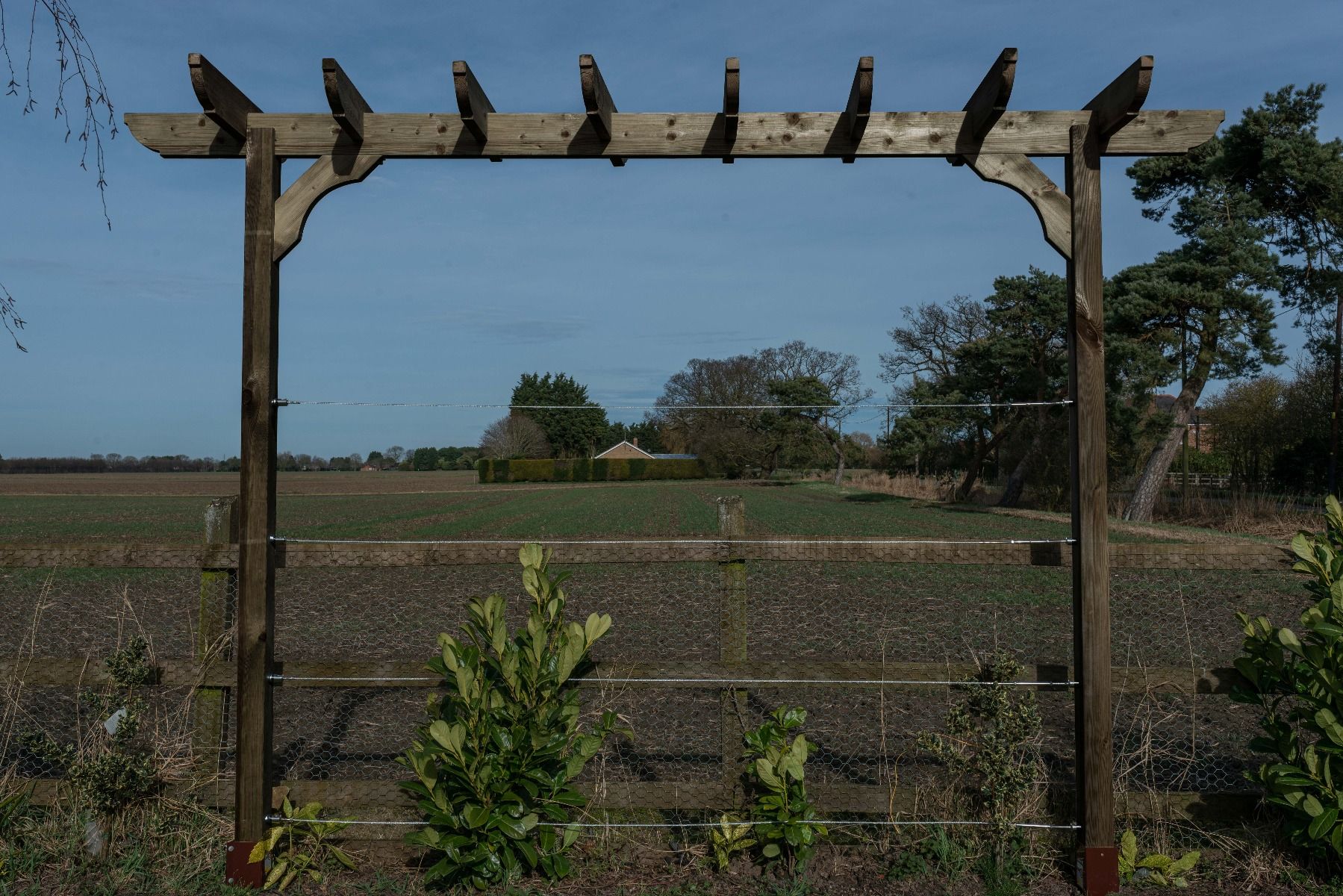 Corbel Single Beam Pergola, Plant Climbing Arbour - Sculpted brace - Image 7
