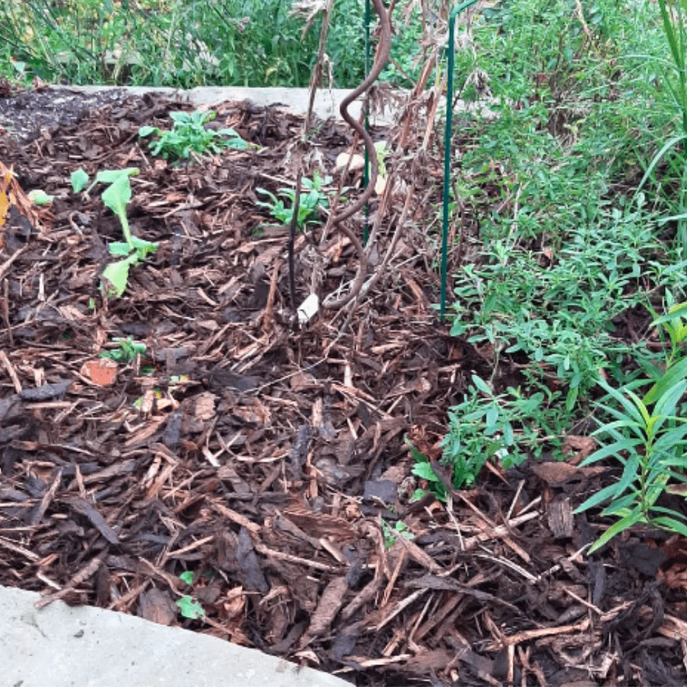 Landscaping Garden Bark Mulch - Image 7