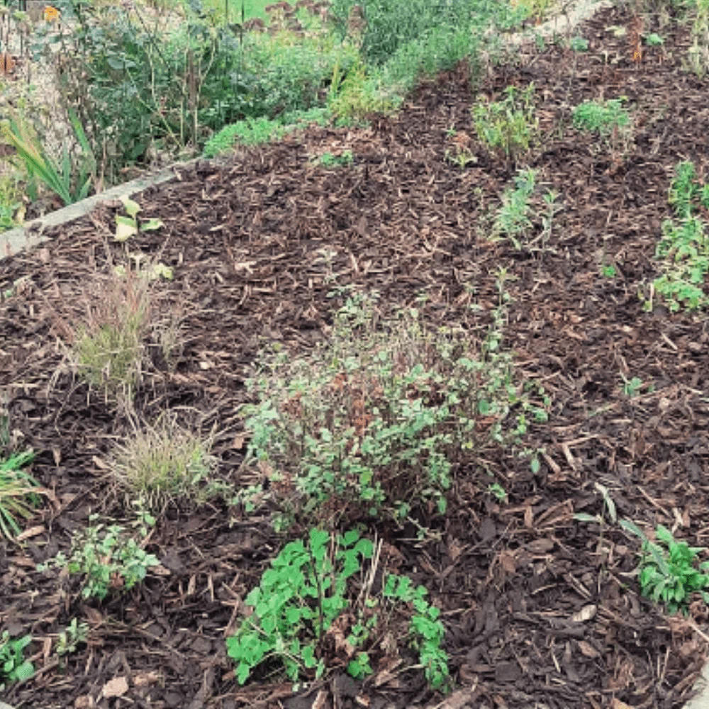 Landscaping Garden Bark Mulch - Image 8