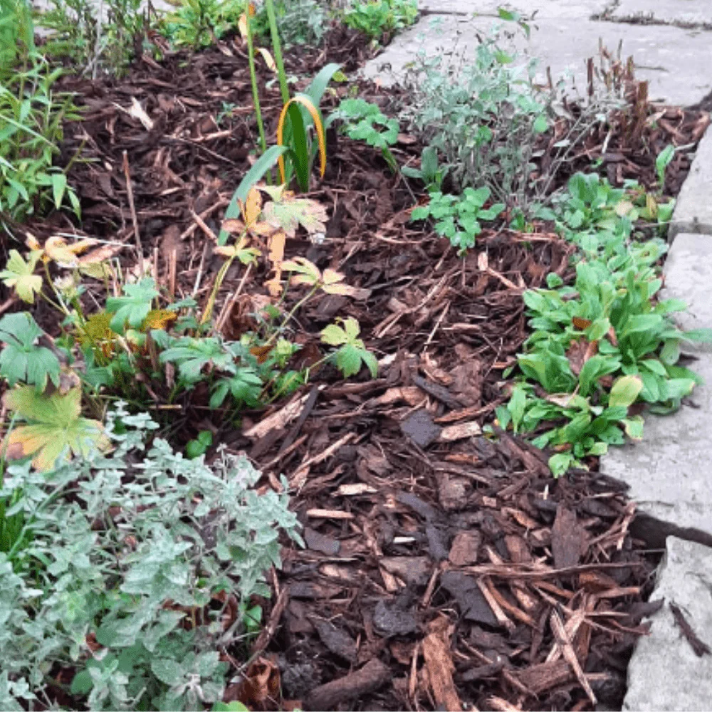 Landscaping Garden Bark Mulch - Image 9