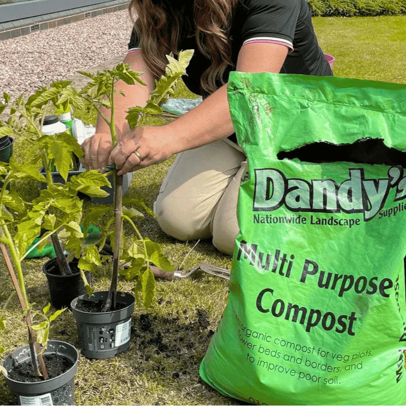 Multi Purpose Welsh Compost - Image 3