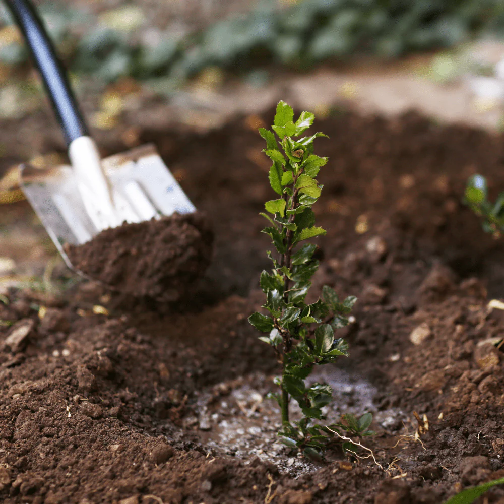 RootMax Tree Planting Soil - Deep Growth Support - Image 2