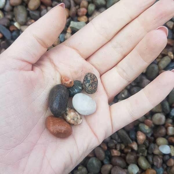 Scottish Mini Pebbles 8-14mm Bulk Bag - Image 4