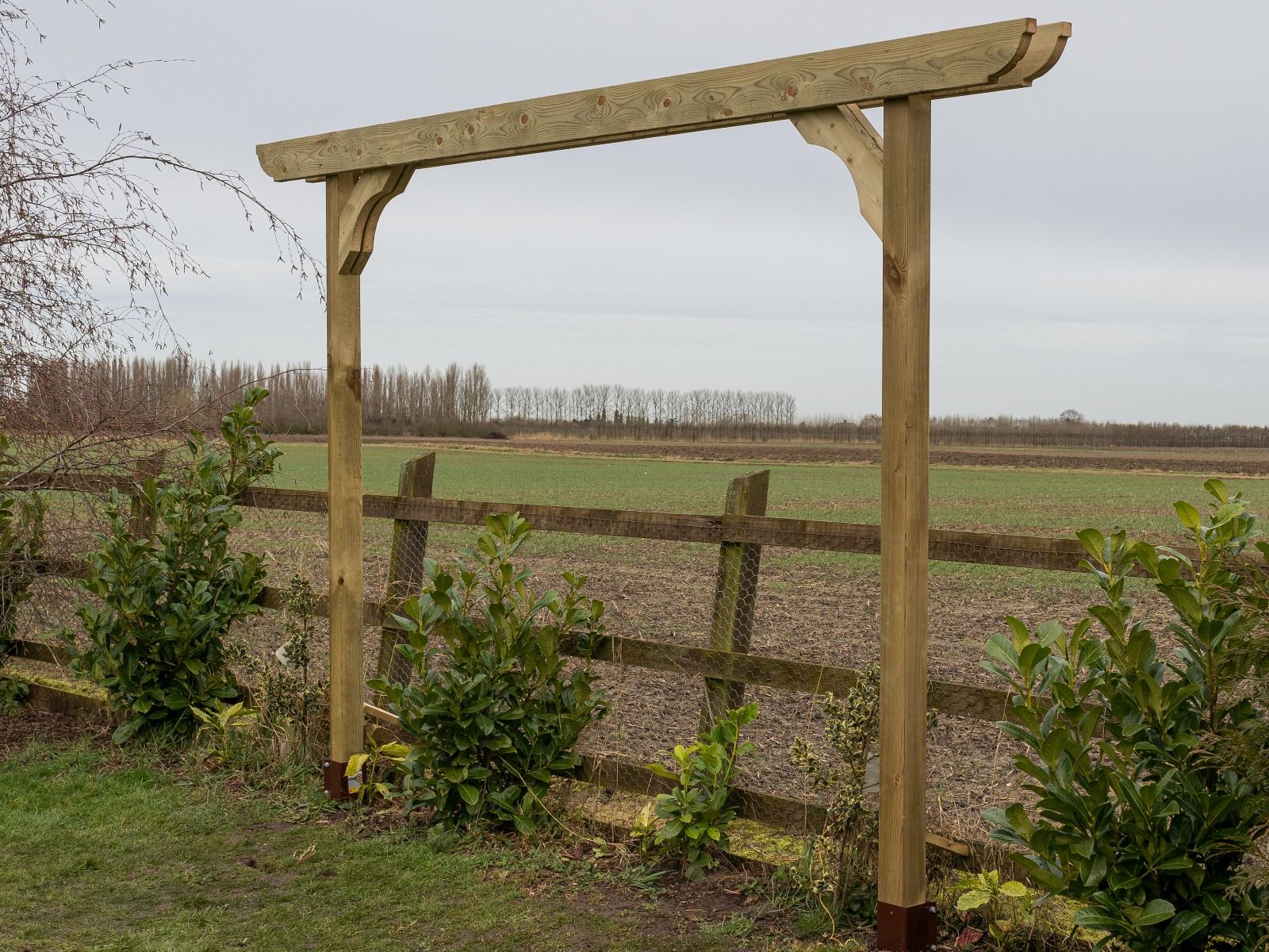 Screen Double Beam Pergola, Plant Climbing Arbour - Corbel Sculpted Brace - Image 13