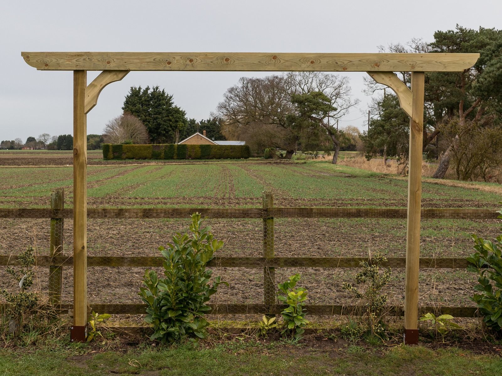 Screen Double Beam Pergola, Plant Climbing Arbour - Corbel Sculpted Brace - Image 15
