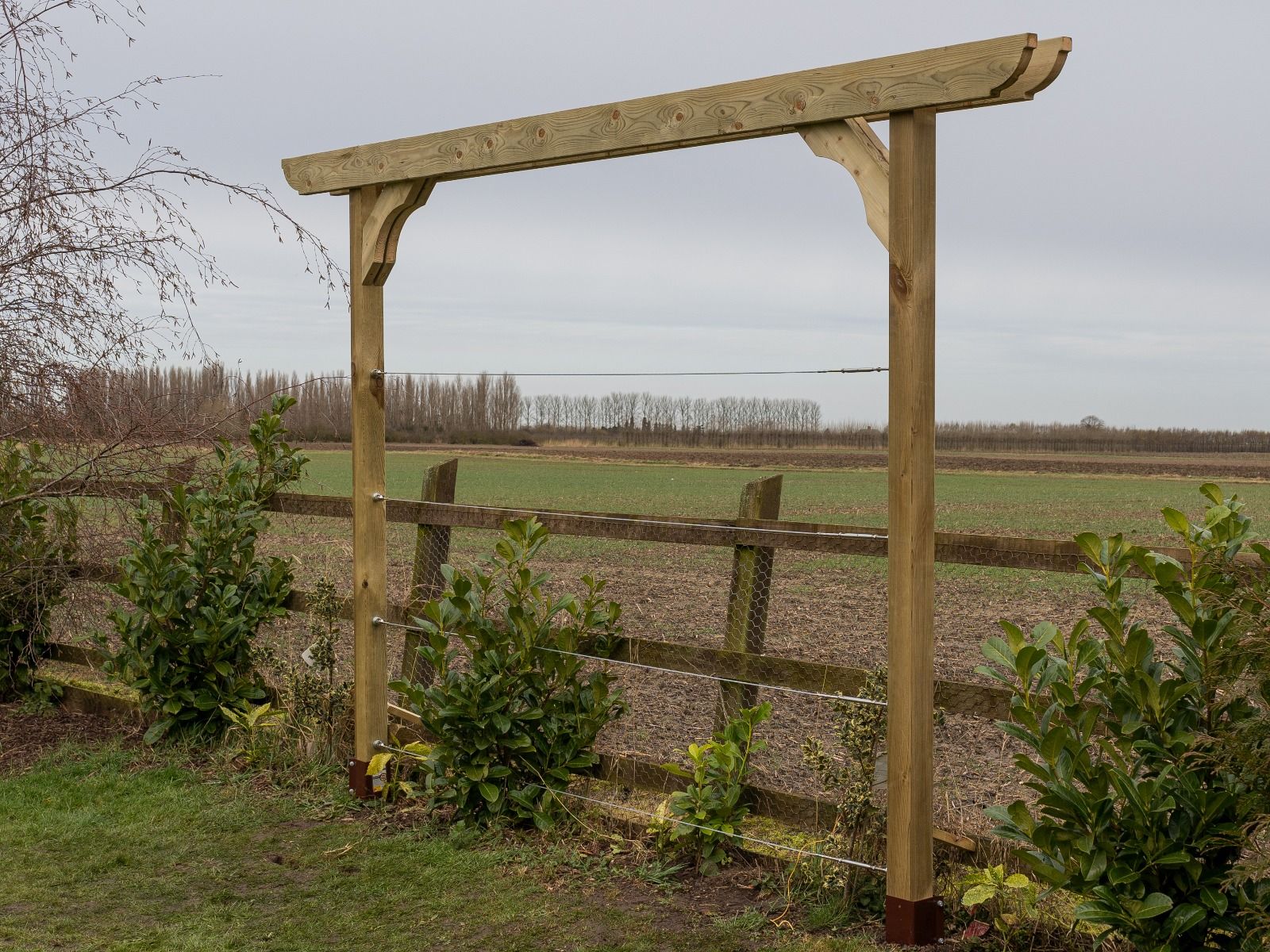Screen Double Beam Pergola, Plant Climbing Arbour - Corbel Sculpted Brace - Image 3