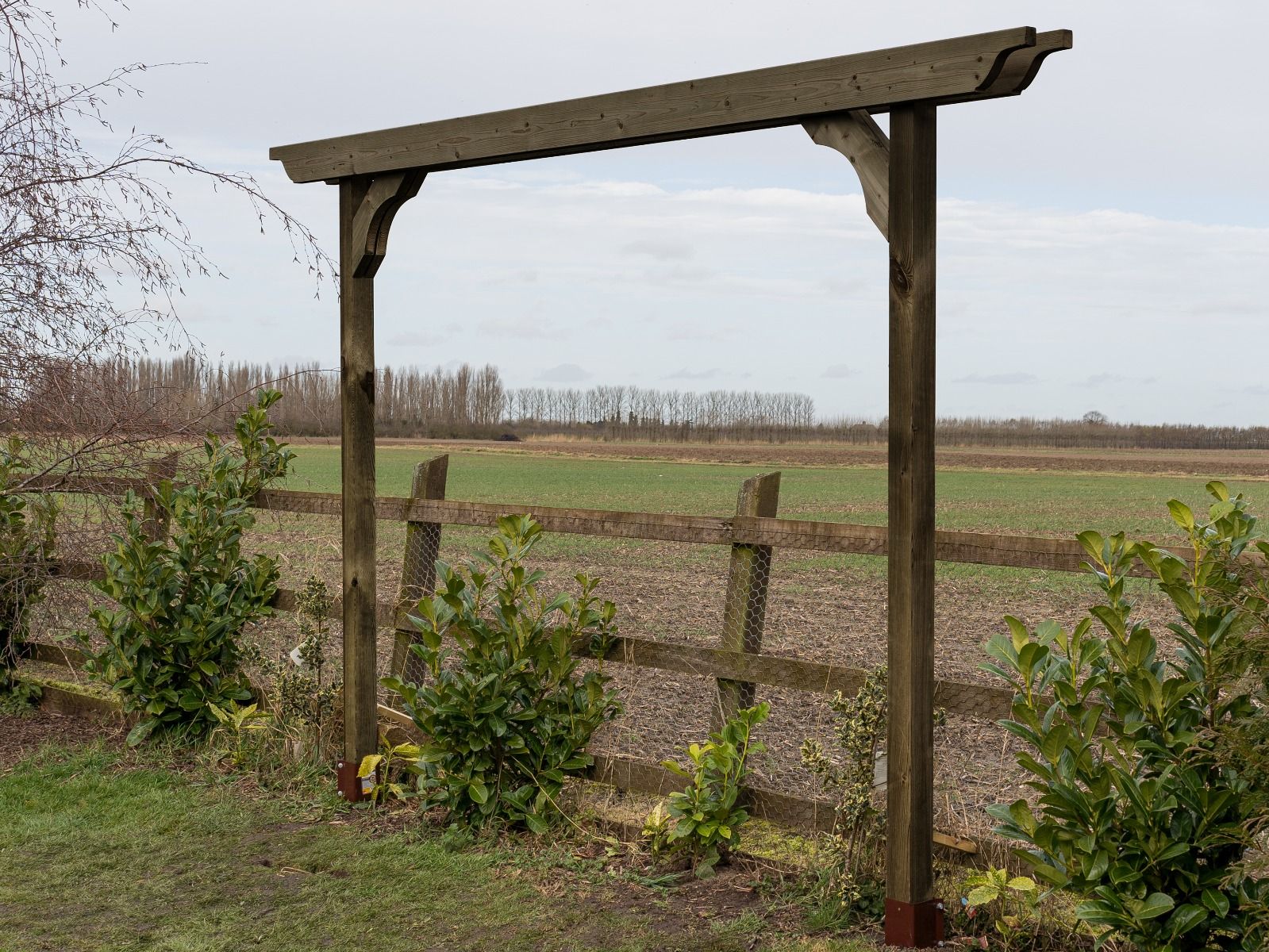 Screen Double Beam Pergola, Plant Climbing Arbour - Sculpted Brace - Image 8
