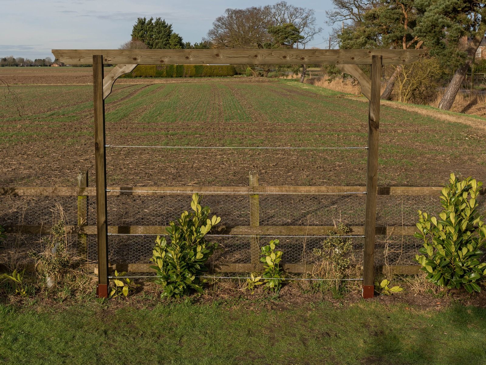 Screen Pergola, Plant Climbing Arbour - Corbel Sculpted Brace - Image 6