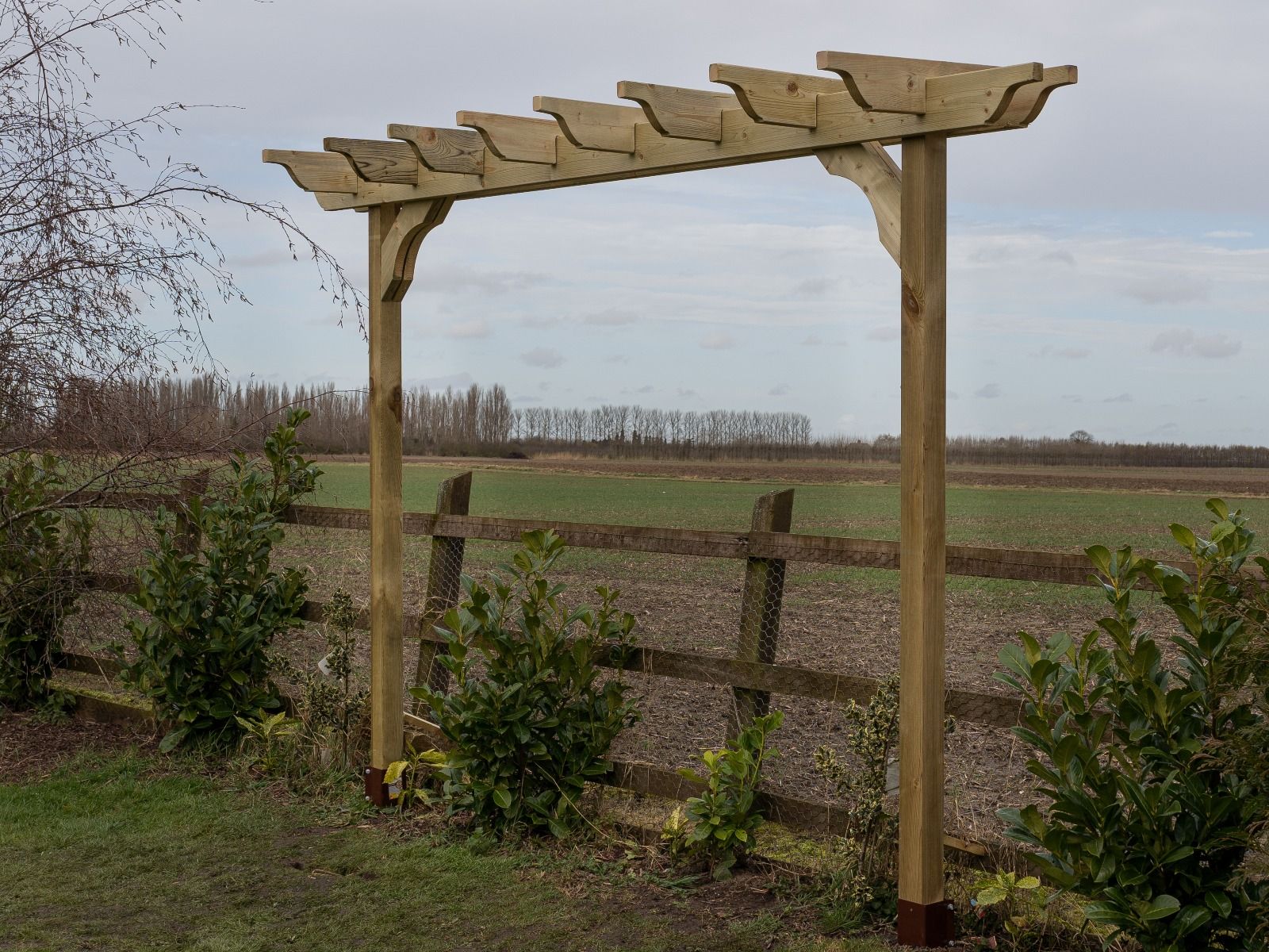 Sculpted Double Beam Pergola, Plant Climbing Arbour - Sculpted brace - Image 9