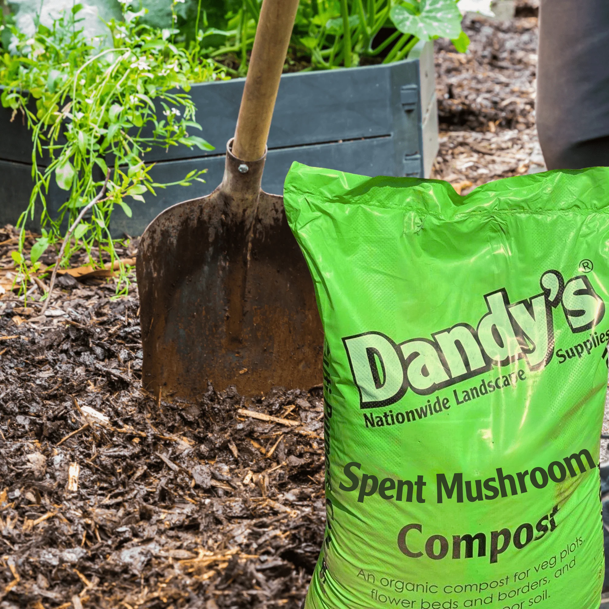 Spent Mushroom Compost - Image 4