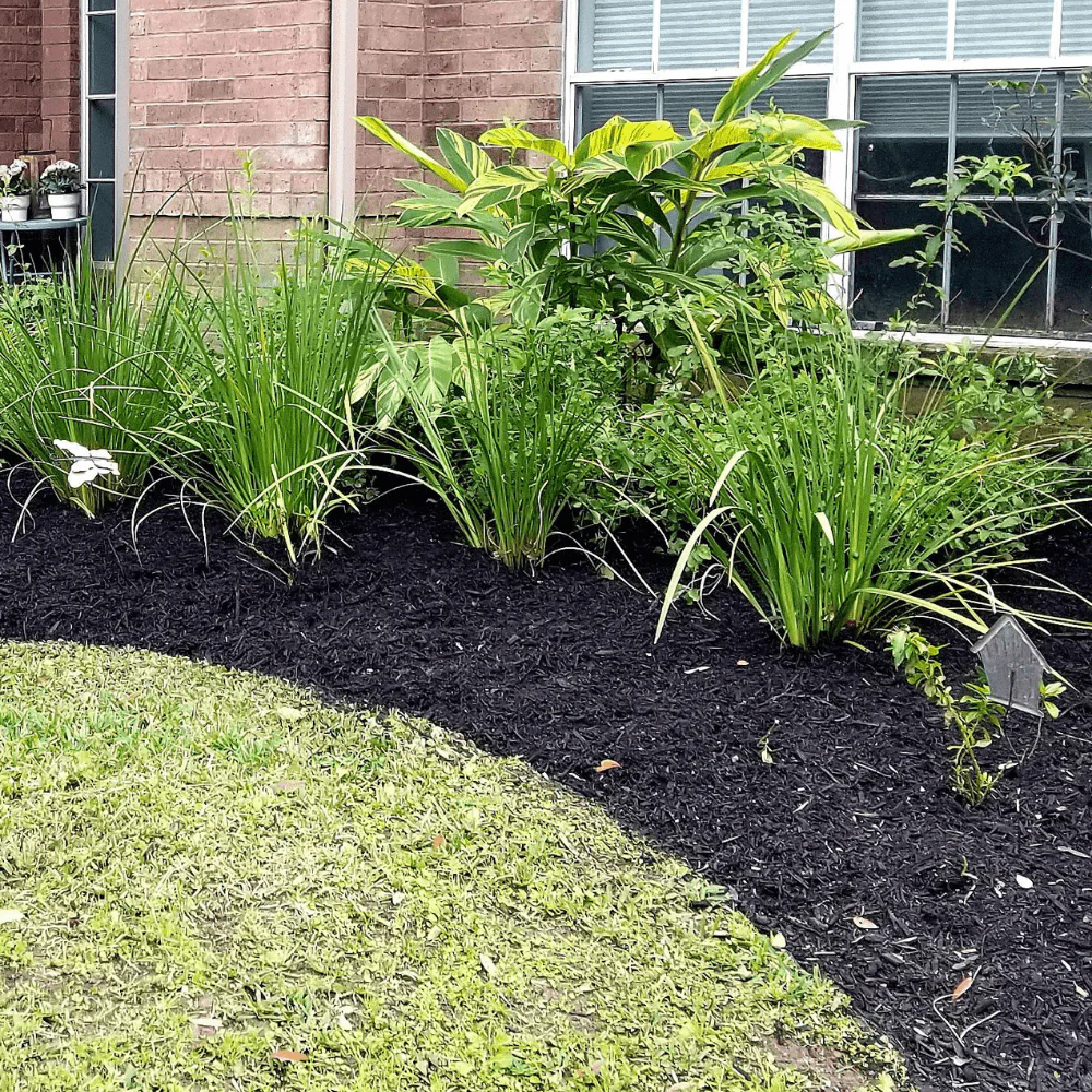 Springmix Compost Garden Mulch - Image 3